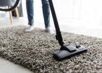 Fresh Air Starts at Home: Carpet Cleaning for Allergen Reductio