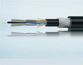 How to choose a cost-effective armoured cable manufacturer?